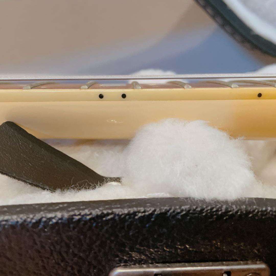 EPIPHONE(エピフォン)3PU SG custom