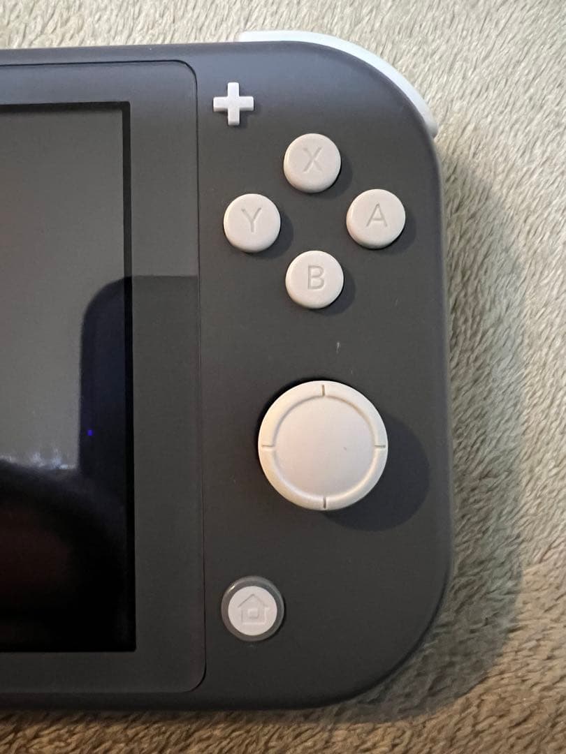 Nintendo Switch Lite 本体 + ポケモンソフト2本