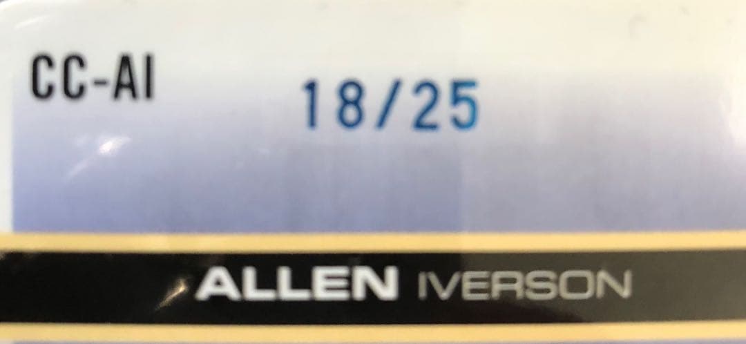 その他 ALLEN IVERSON  FLAIR FINAL EDITION