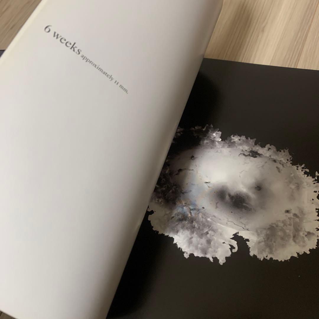 【英字版】A Child is Born 赤ちゃんの誕生