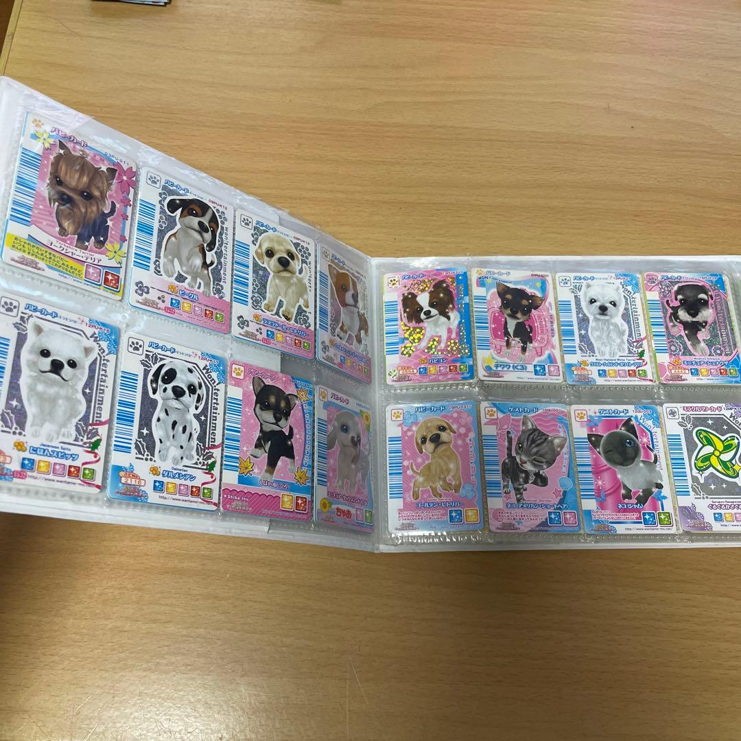 ワンタメ　カード　ワンタメミュージックチャンネル　レア　ねこ