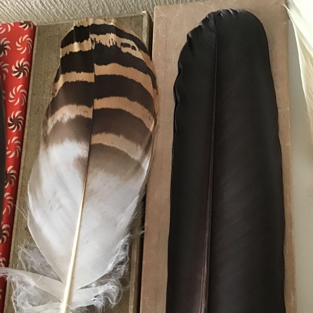 羽箒
