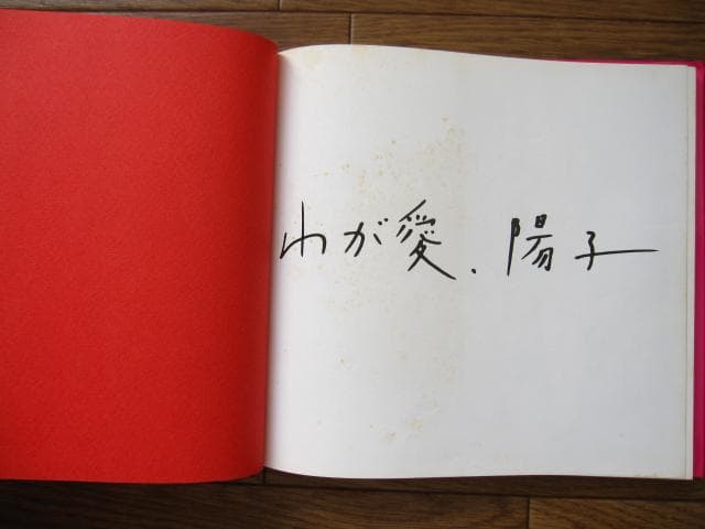 わが愛、陽子　荒木経惟　Nobuyoshi Araki