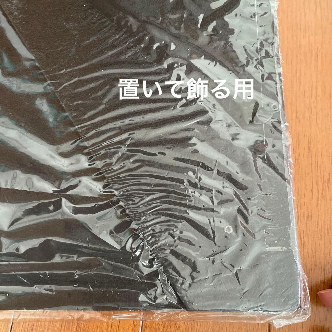 ディズニークルーズ　乗船記念額