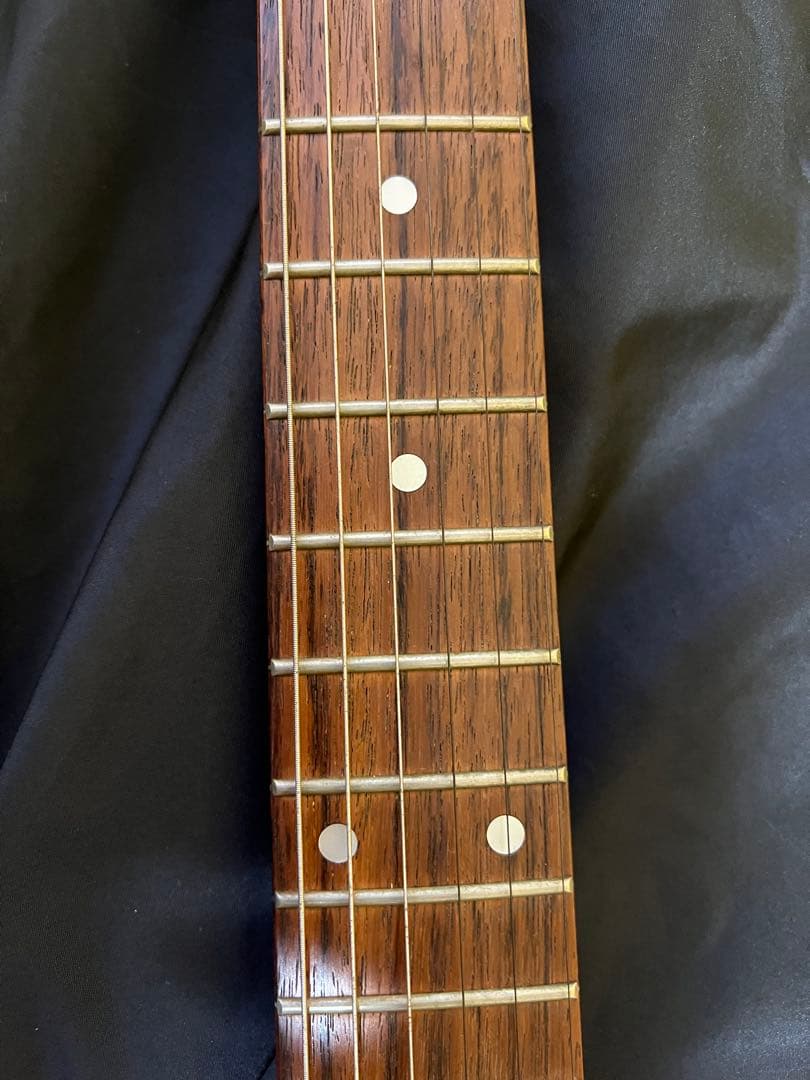 TARGET by FERNANDESモッキンバードMGT-48hide モデル