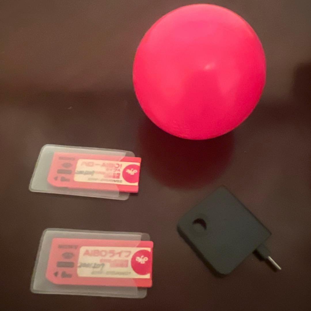 ソニーSONY エンターテイメントロボットアイボAIBO ERS-210ブラック