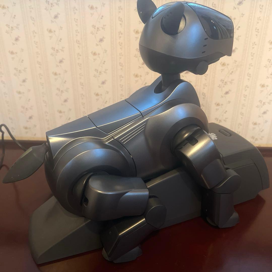 ソニーSONY エンターテイメントロボットアイボAIBO ERS-210ブラック