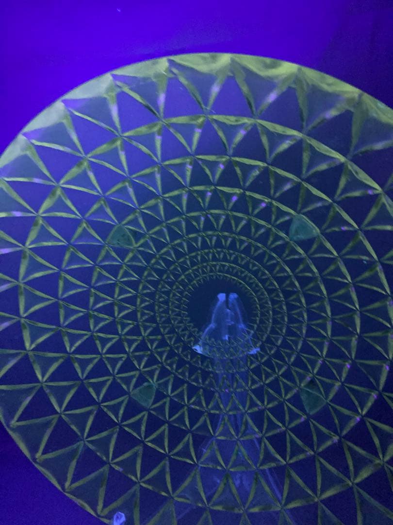 ルネ・ラリック ロザス プレート 大皿 ガラス皿 花柄 バラ窓 1930年代