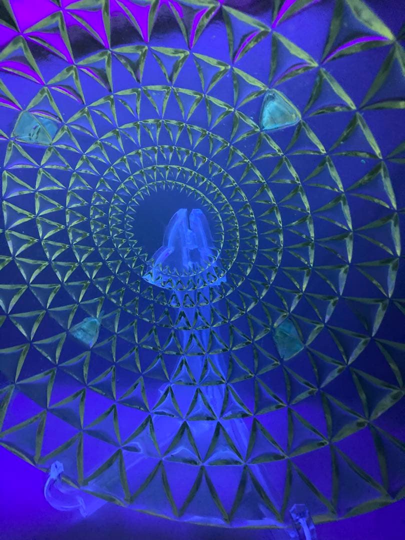 ルネ・ラリック ロザス プレート 大皿 ガラス皿 花柄 バラ窓 1930年代