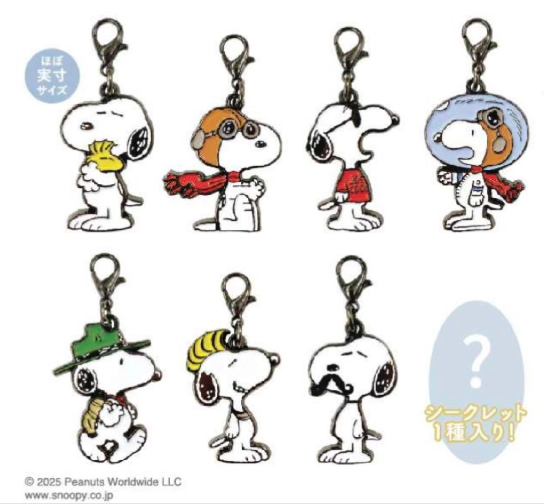 スヌーピー メタルチャーム　3BOX（24個入り）
