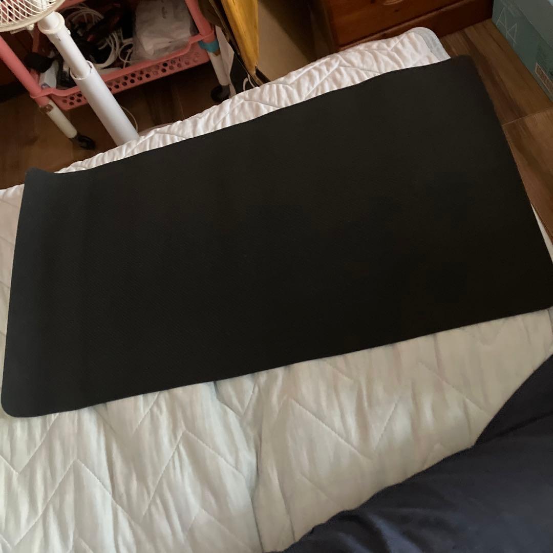 ❤最安値更新❤ディズニー ロルカナ スカー プレイマット✨ チャンピオンモデル