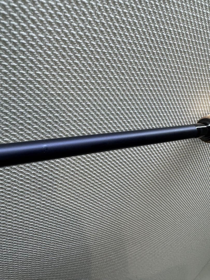 SALTIGA SG SJ 61B-3・W ベイトロッド