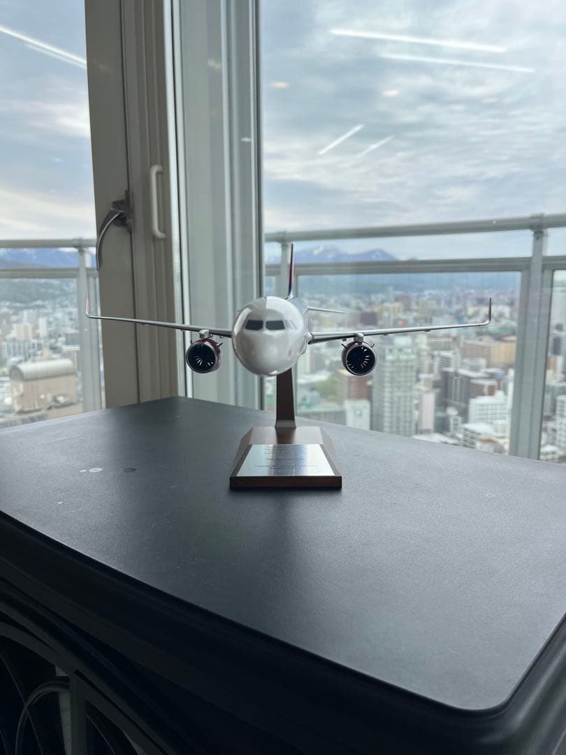 Wizz Air 1/200航空機モデル