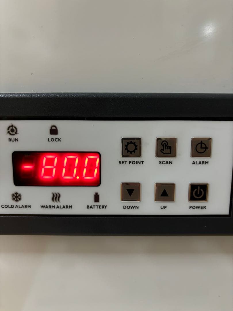 清潔コオロギ　2.4kg 2.0〜2.5cm多め　冷凍コオロギ