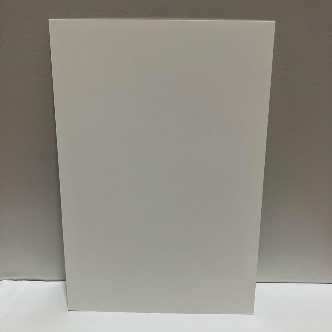 レゼ　デンジ　ポストカード　チェンソーマン　チェキ風イラストカード　会場限定品