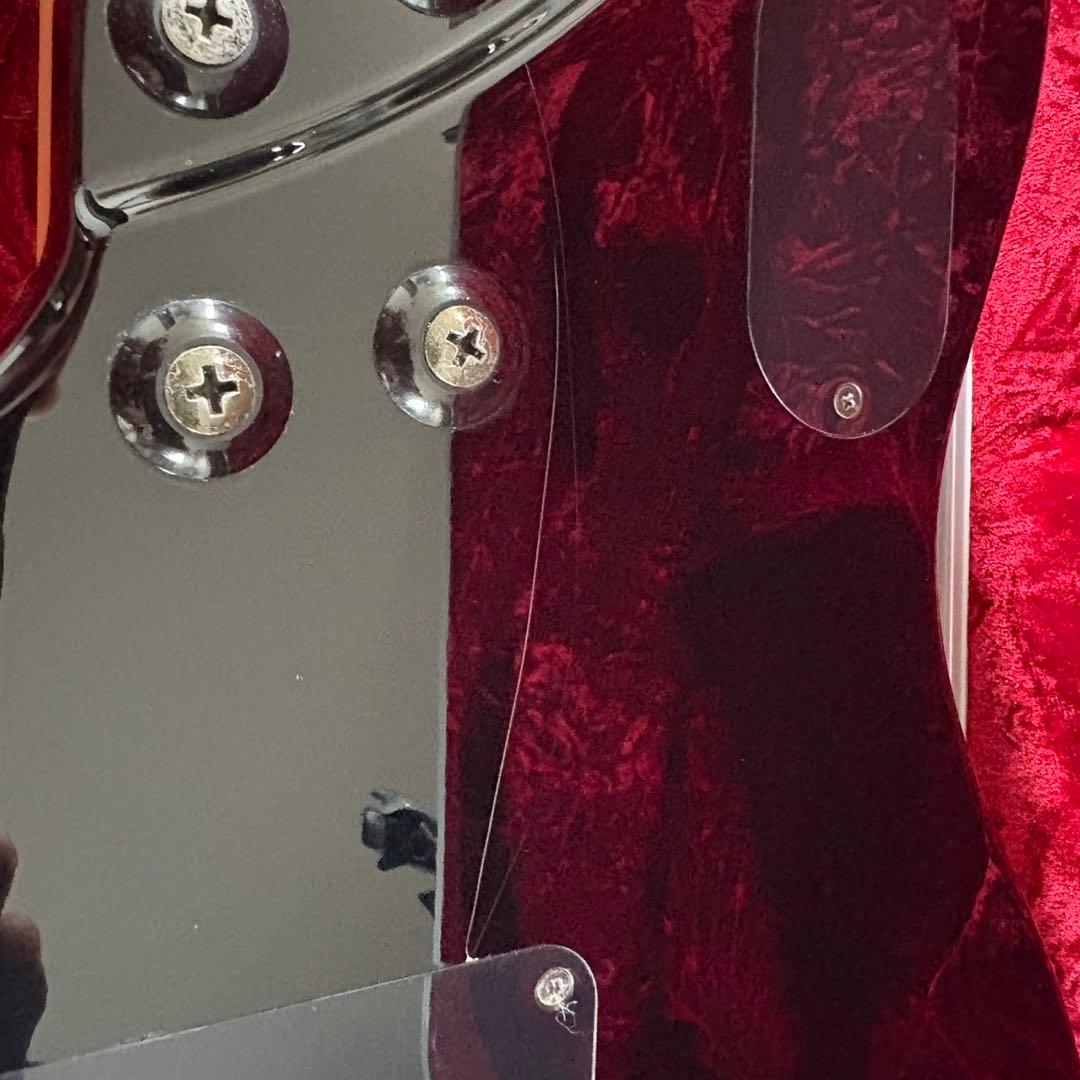 EVH「Wolfgang Special」