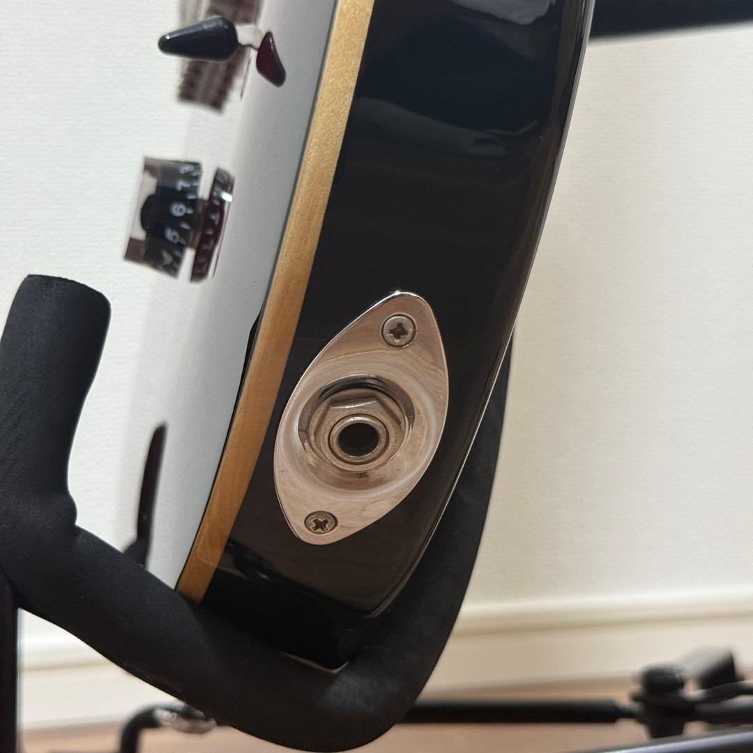 PRS(Paul Reed Smith) SE Custom24 (付属品多数)