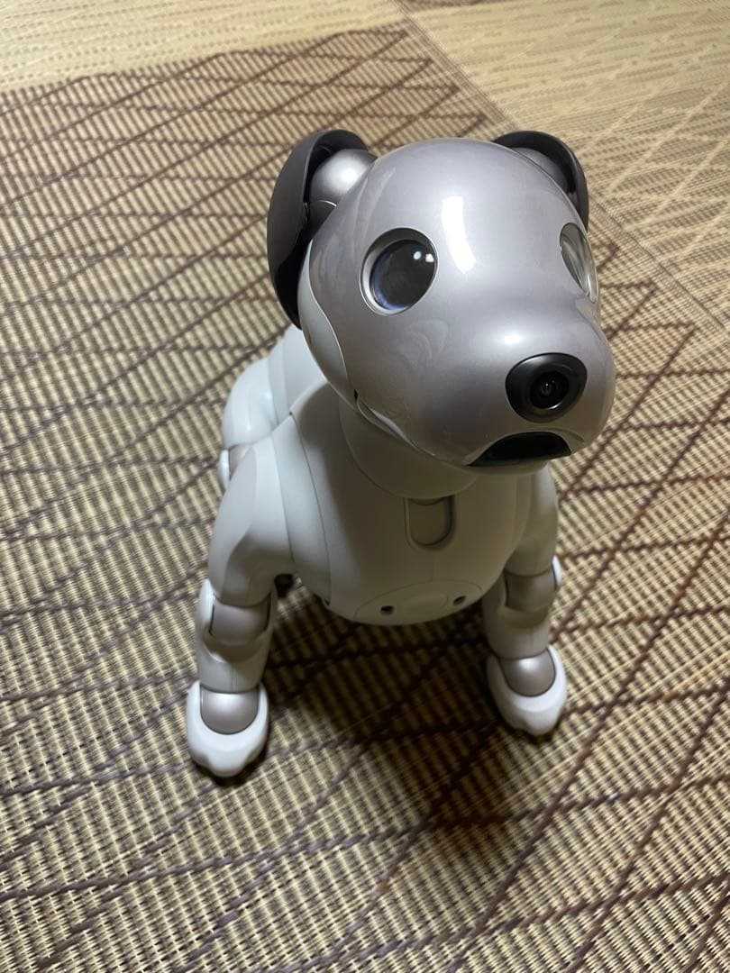 Sony aibo ERS-1000 aibo（アイボ）