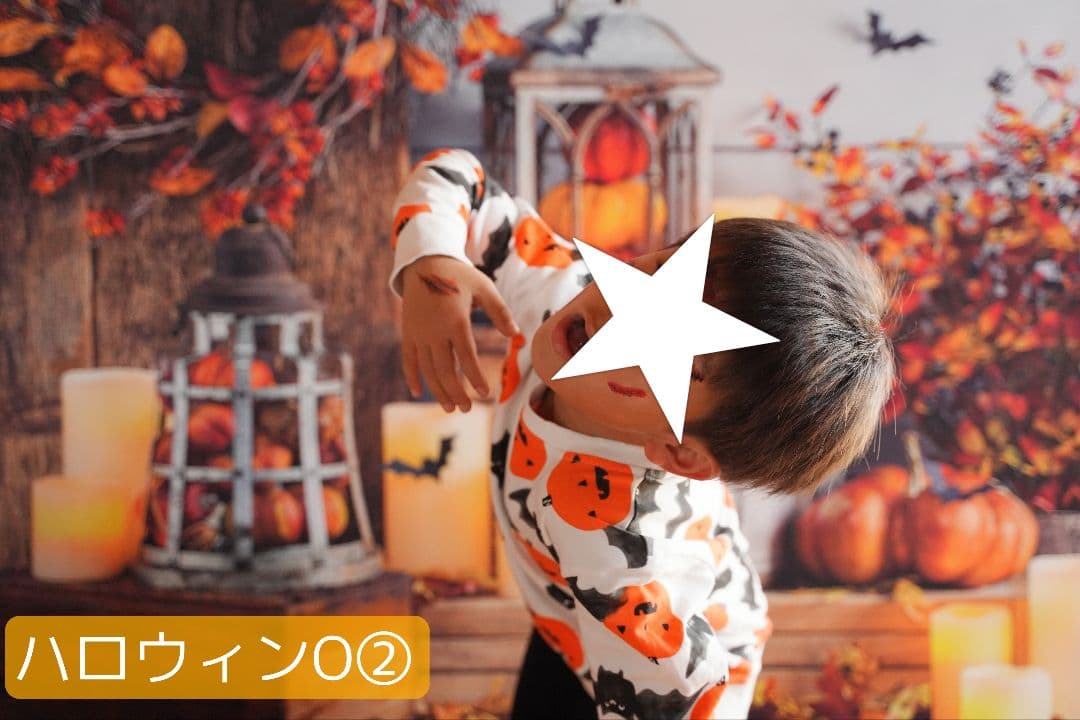 業務用トリミングチョーカー+背景布　ペット撮影用フォトブース　ハロウィン