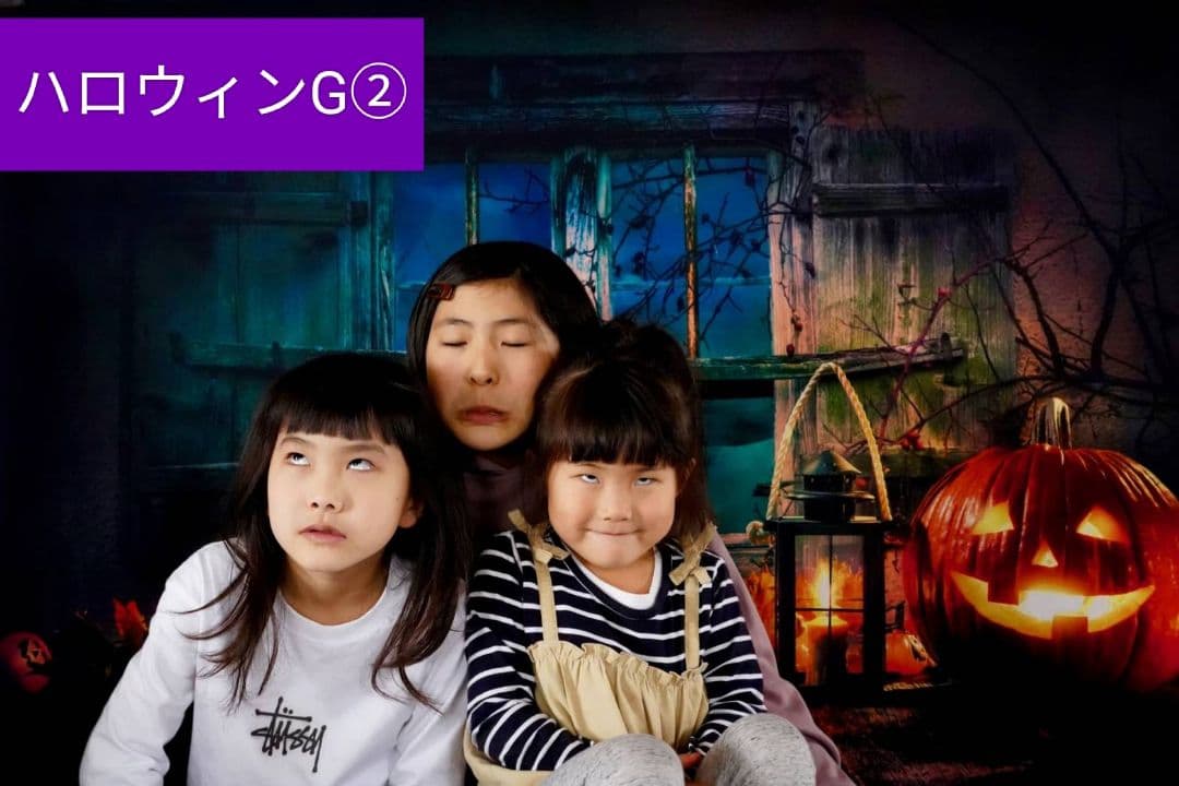 業務用トリミングチョーカー+背景布　ペット撮影用フォトブース　ハロウィン