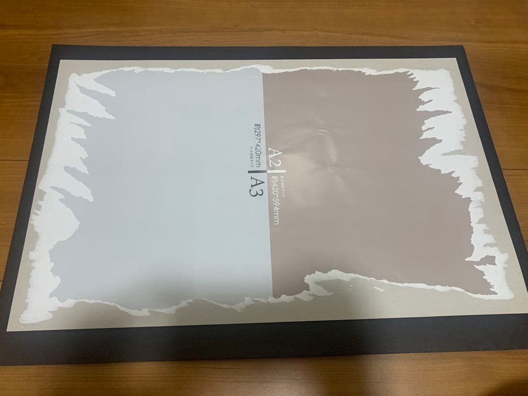 stussy livin' general store ポスター　ステューシー