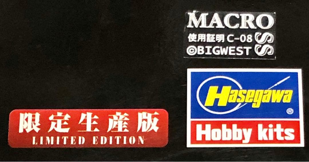 河森正治EXPO限定　YF-19 limited ver.