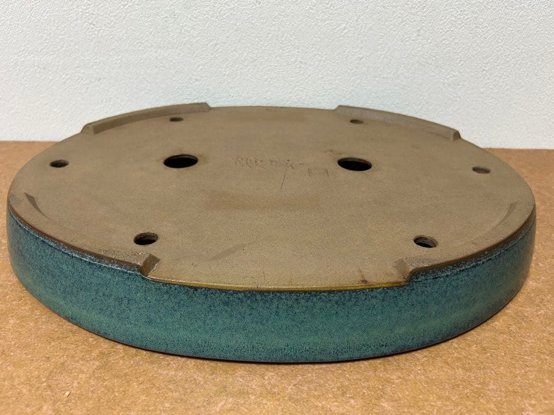 碧水　盆栽鉢　山野草