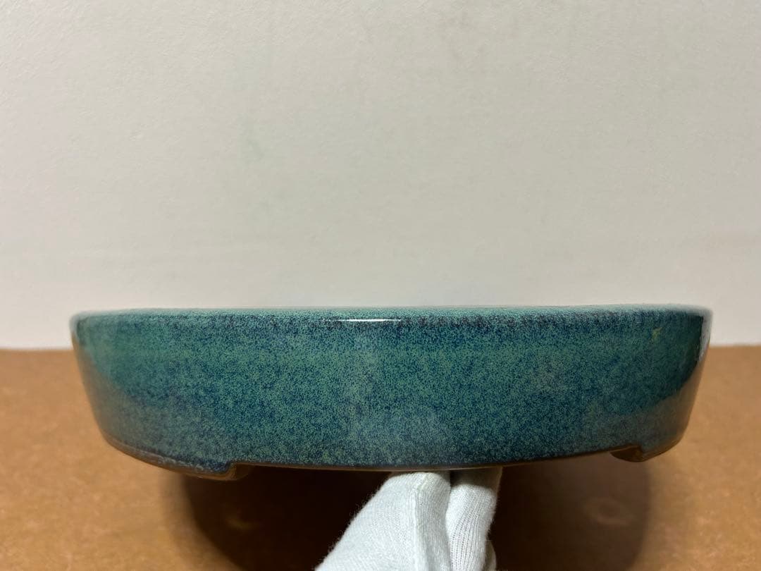 碧水　盆栽鉢　山野草