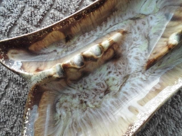 ◇◇ 50' モダンな灰皿 /b ◇◇