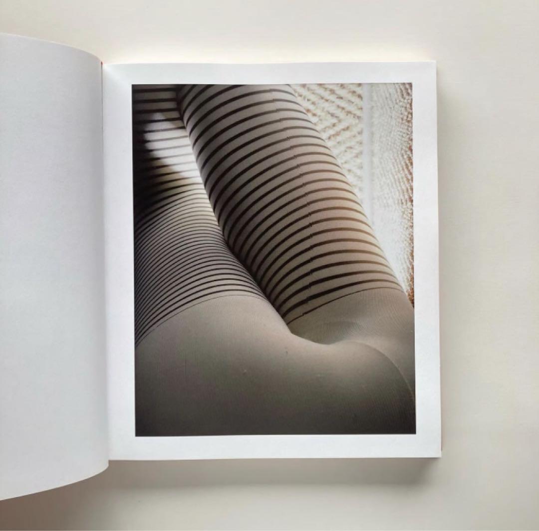 【希少本】VANILLA PARTNER - Torbjørn Rødland