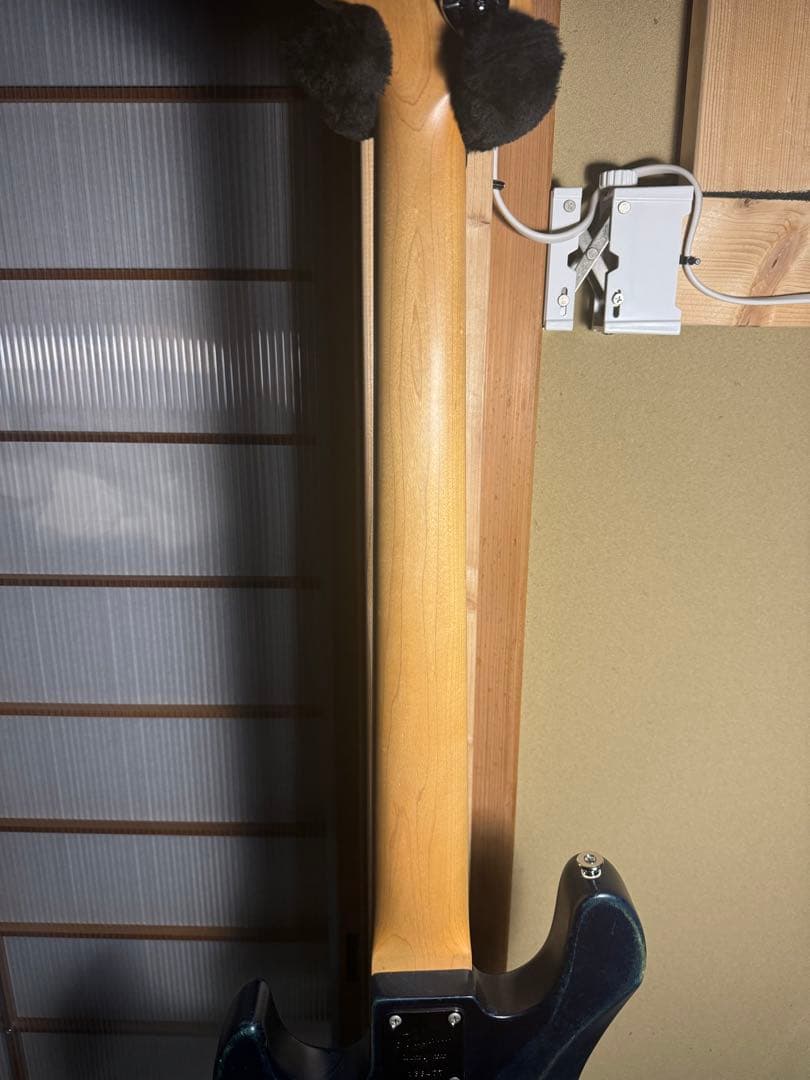 【超激レア仕様】Bacchus Woodline 5弦ベース【値下げ歓迎】