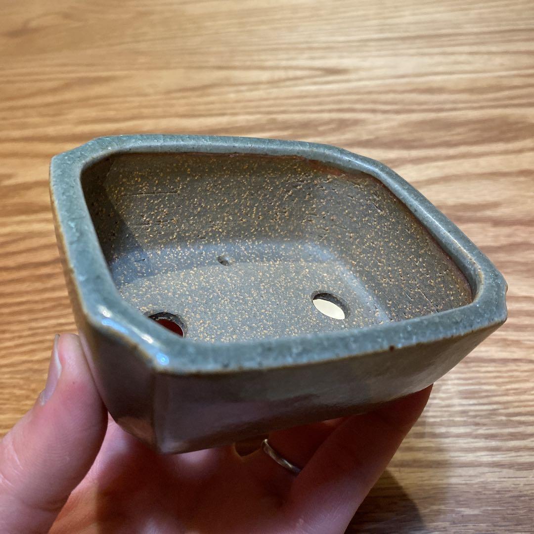 盆栽鉢　柴勝d
