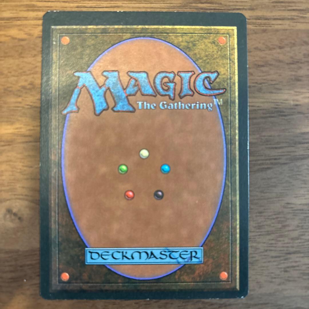 mtg Tundra イタリア語　FBB 黒枠