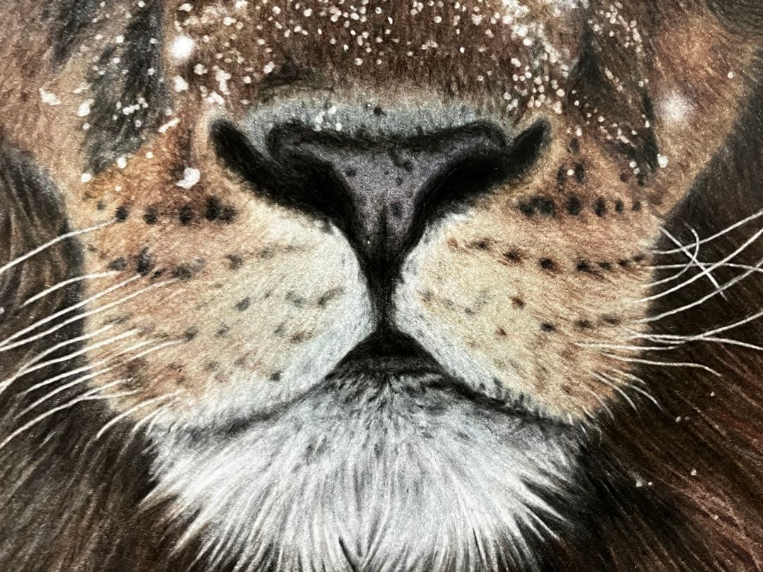 凍空と 色鉛筆画 パステル