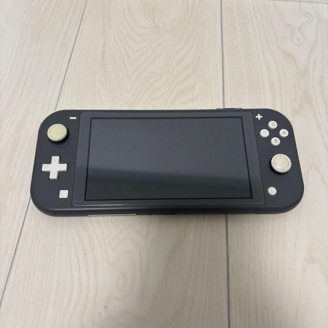 Nintendo Switch Lite グレー 本体 ACアダプターケ