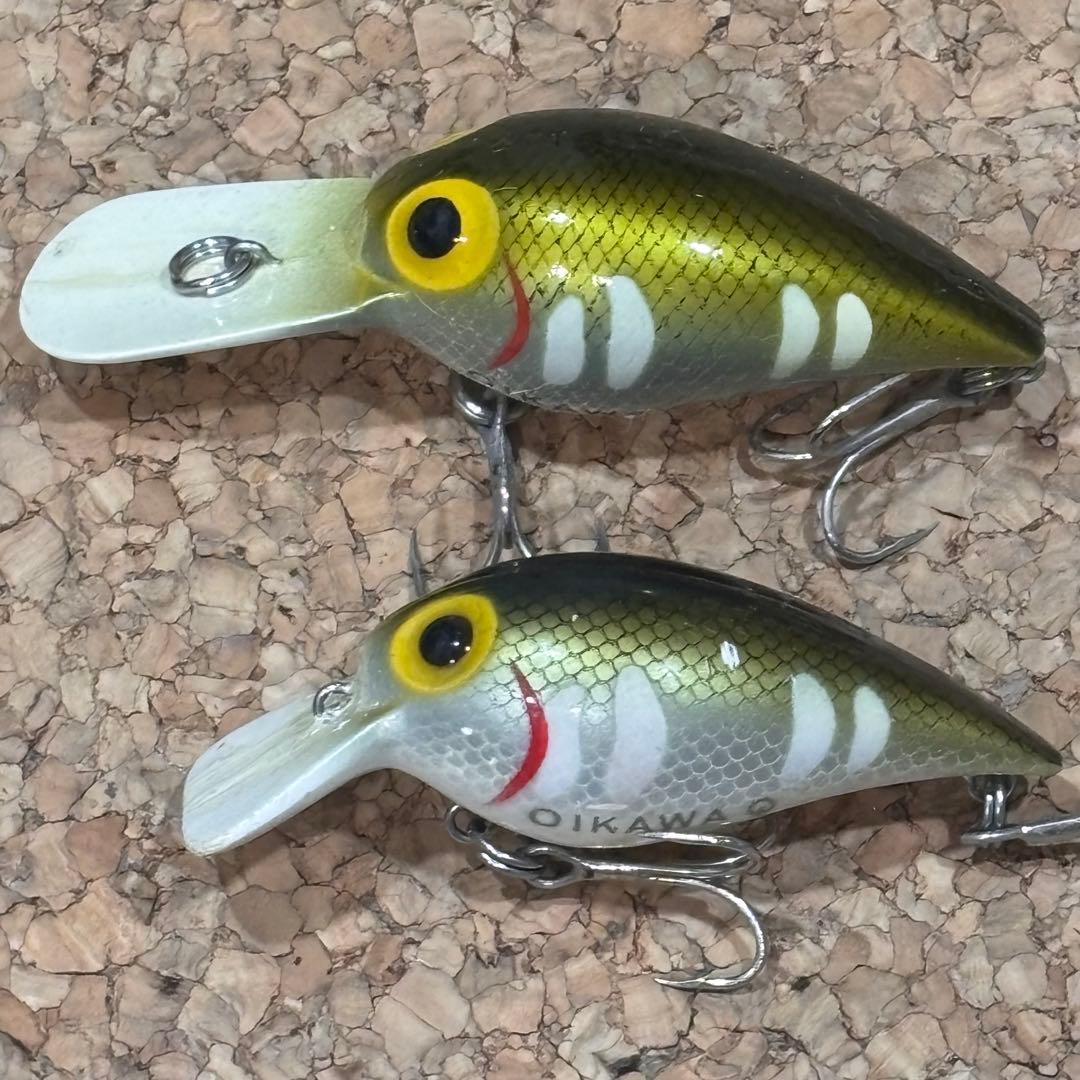 ストーム　ファッツオーとウイグルワート　ジャパンカラー　オイカワ