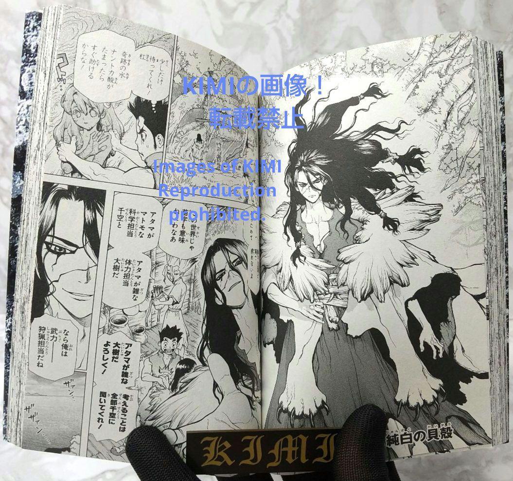 希少 初版 Dr.STONE 1 コミック 2017 Boichi,稲垣 理一郎