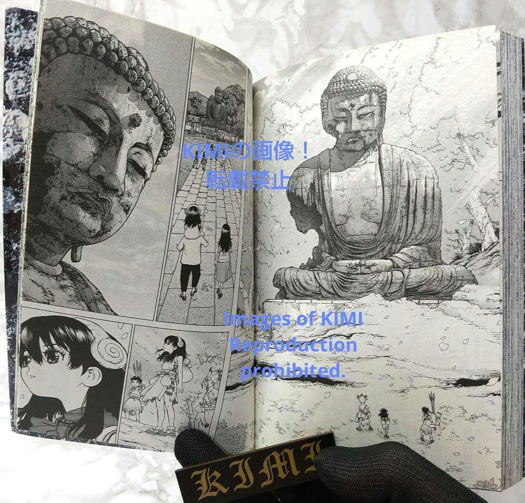 希少 初版 Dr.STONE 1 コミック 2017 Boichi,稲垣 理一郎