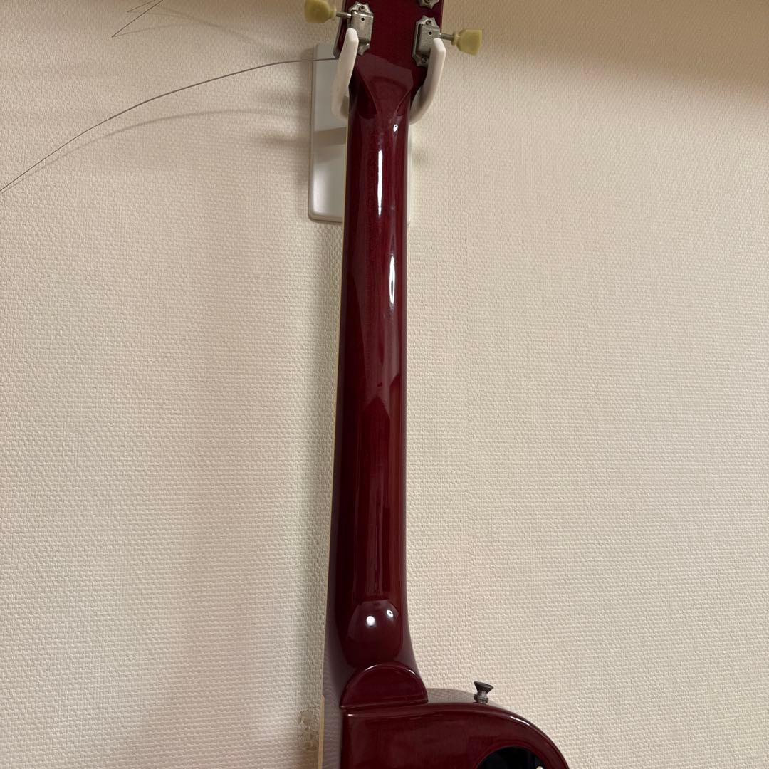 FUJIGEN フジゲン タイムレスティンバー BAT-20TT レスポール