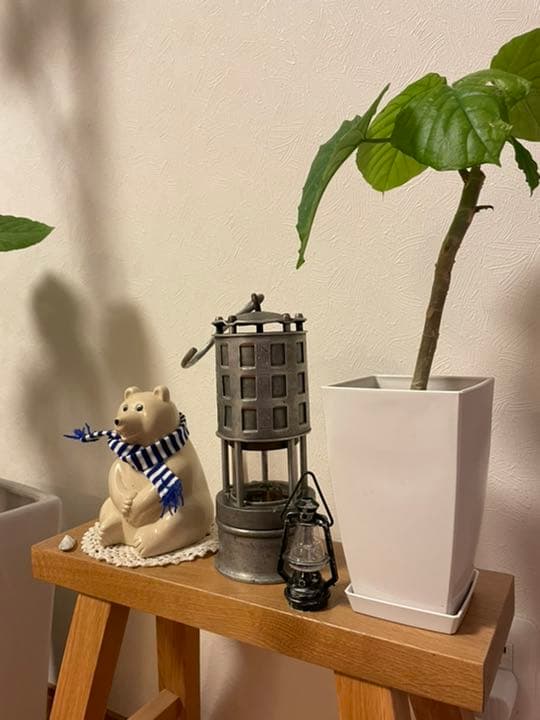 KOEHLER ケーラー 真鍮 ランタン ヴィンテージ オイル ランプ 209