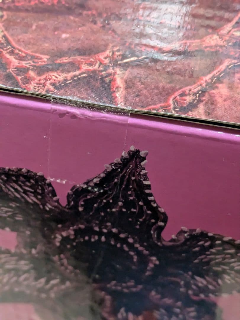 一番くじ　ストレンジャー・シングス　デモゴルゴン　ラストワン賞