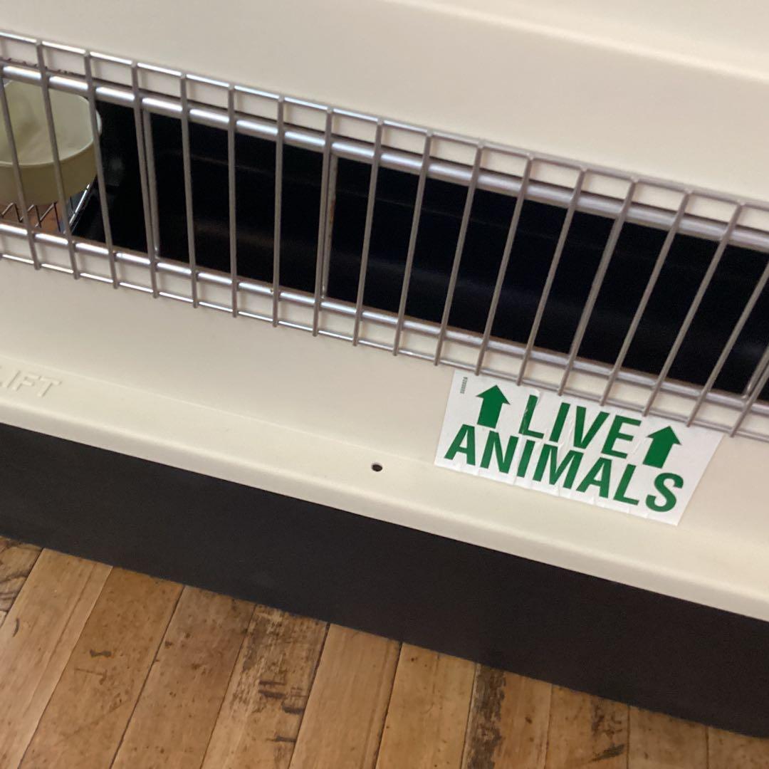 国際輸送 Petmate ウルトラ バリケンネル ペットメイト 中型犬用 米国製