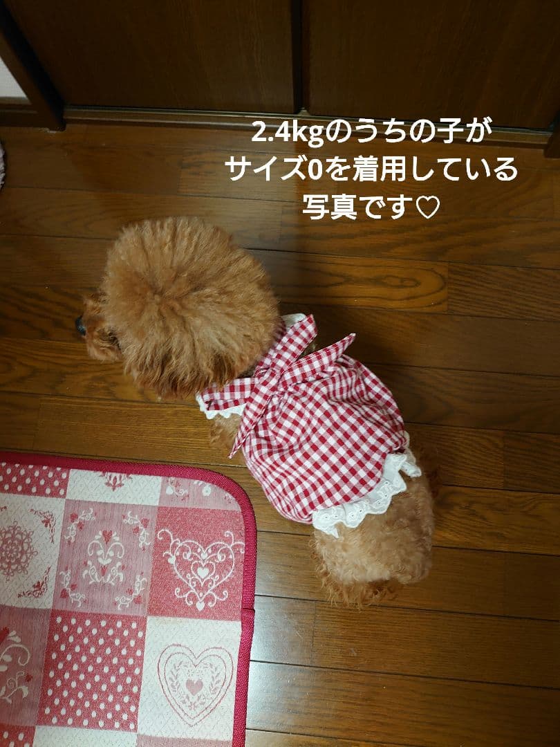 犬服 ハンドメイド ワンピース ギンガムブルー