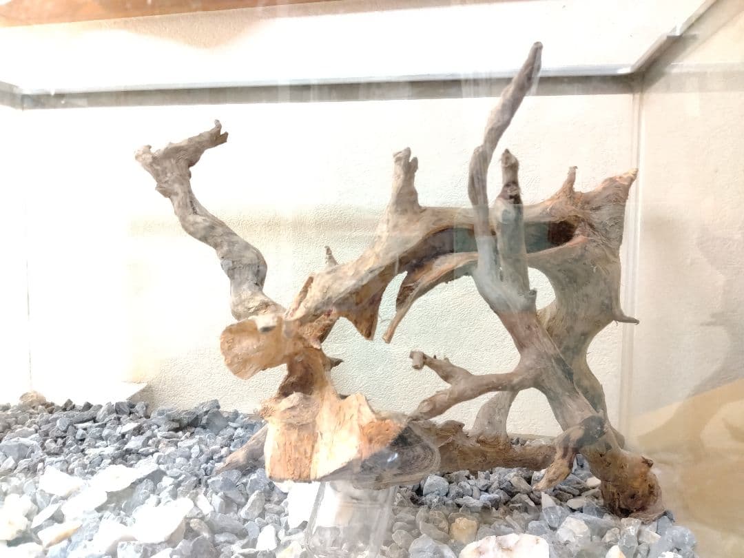 流木Ｎｏ．Ａ23　春まで休みます