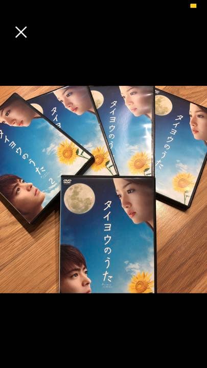 映画 ヘルタースケルター テレビドラマタイヨウのうた DVDセット 沢尻エリカ