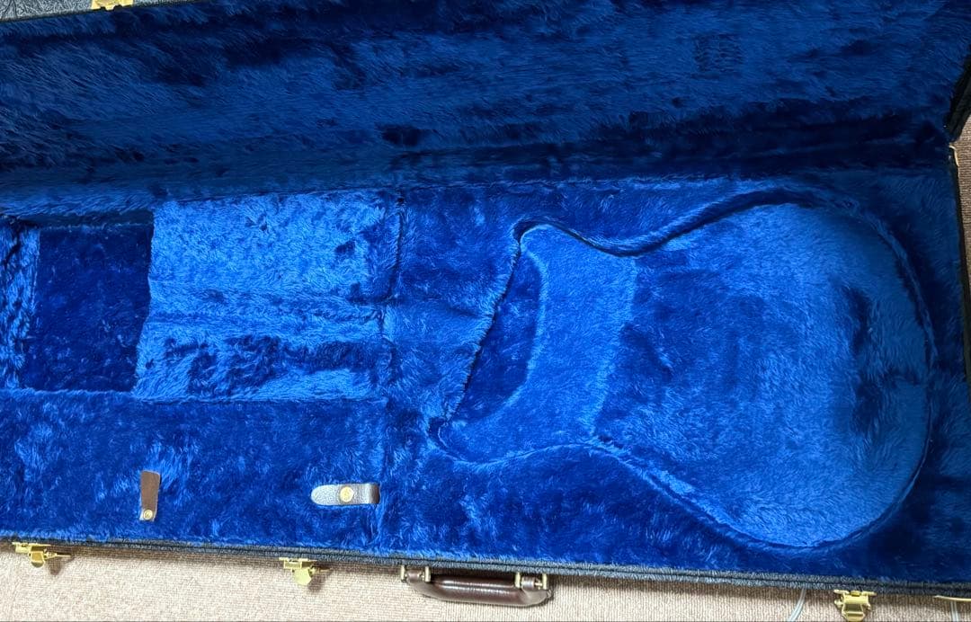 PRS FATBACK24 （custom24）