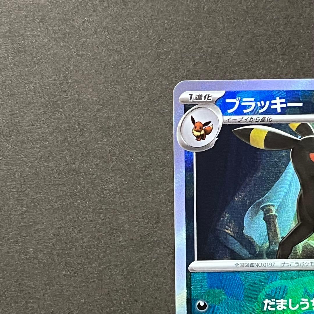 テラスタルフェス ブラッキー マスターボールミラー