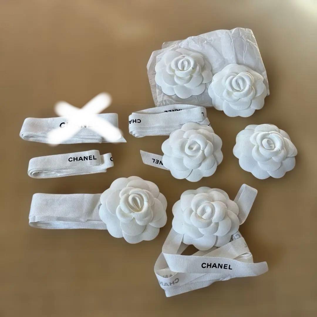 シャネル　ショッパー　空箱　マグネット　バレッタ　保存袋　付属品　セット