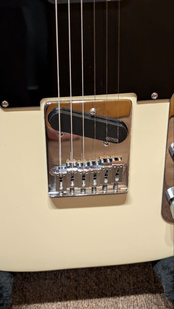 【本体ジャンク】Bacchus BTE-1M ＋EMG/GOTOH製パーツ