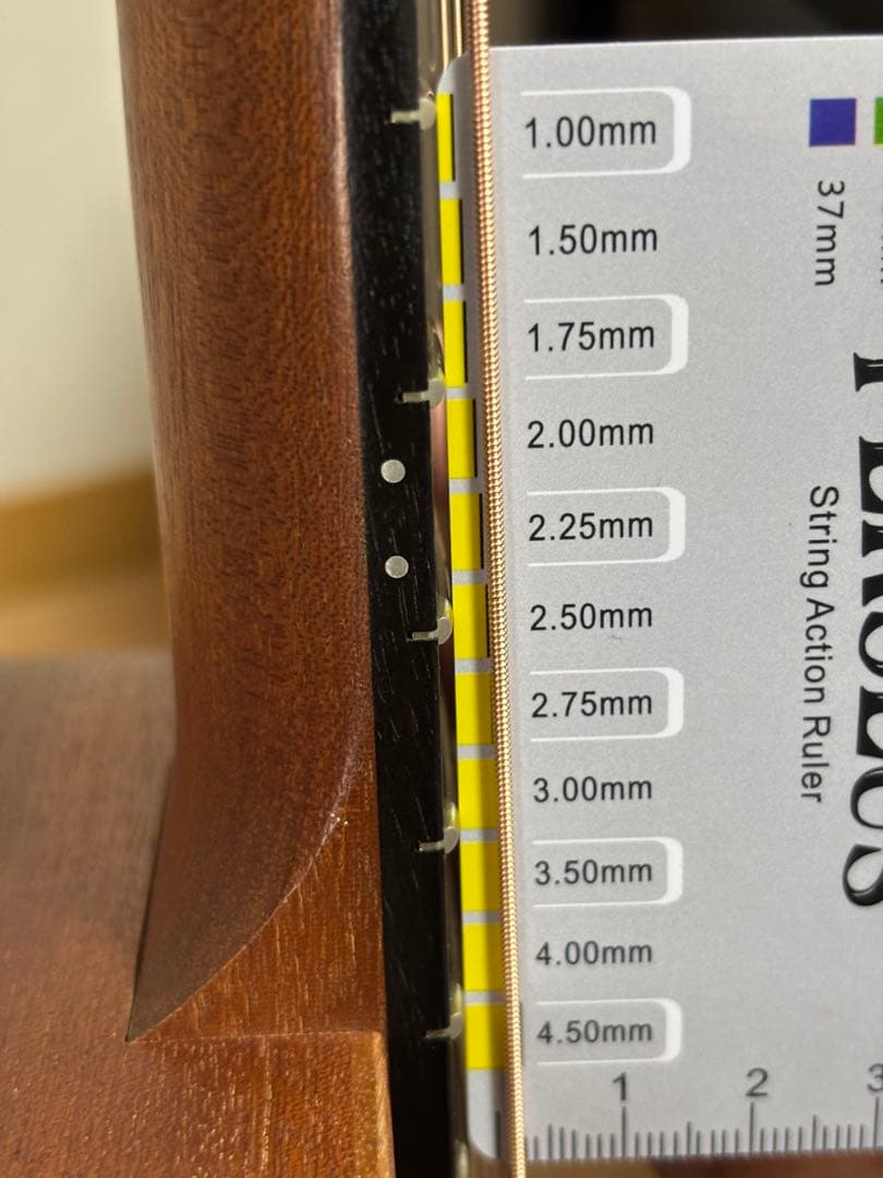 ギター Baby Taylor Mahogany BT2